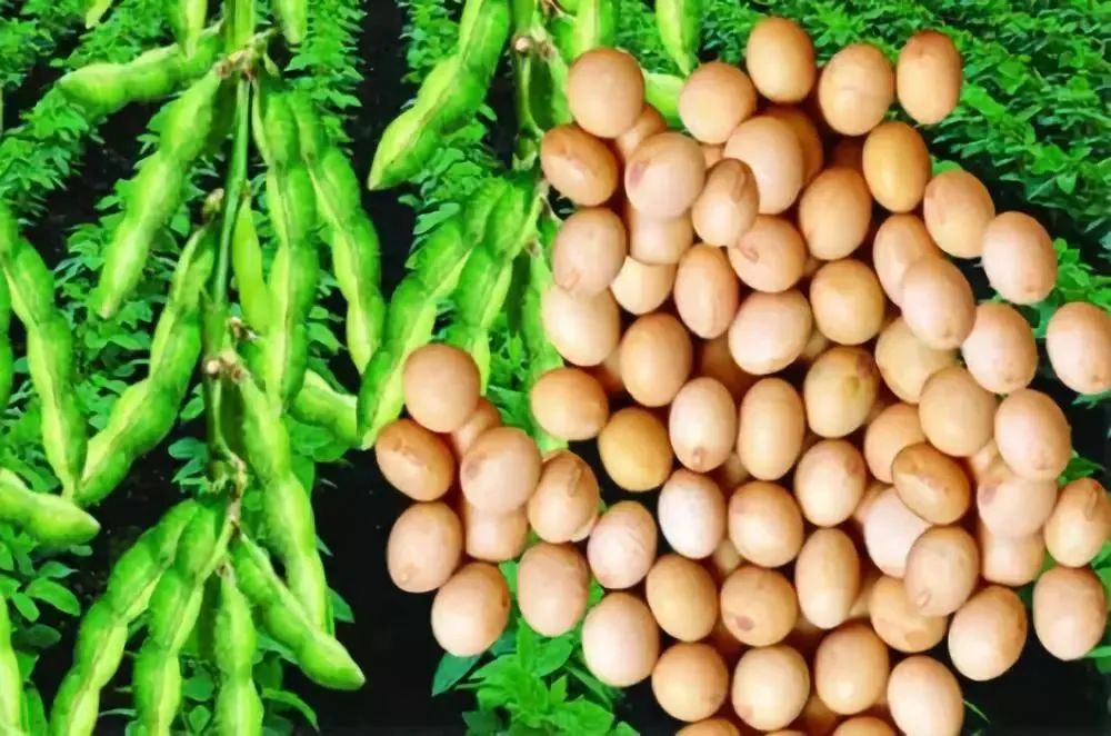 微信图片_20220620142503 微信图片_20220620142503