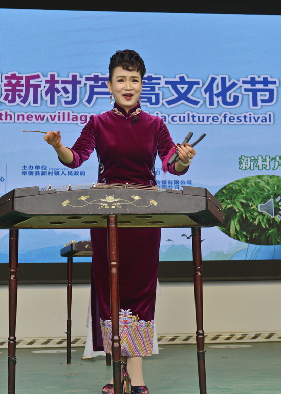 第五届新村镇芦蒿文化节开幕