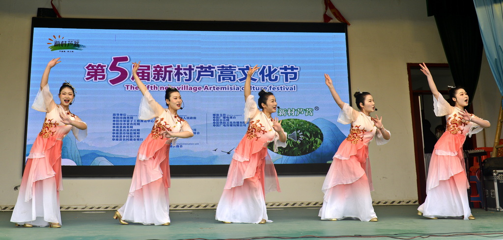 _DSC3874_2 _DSC3874_2