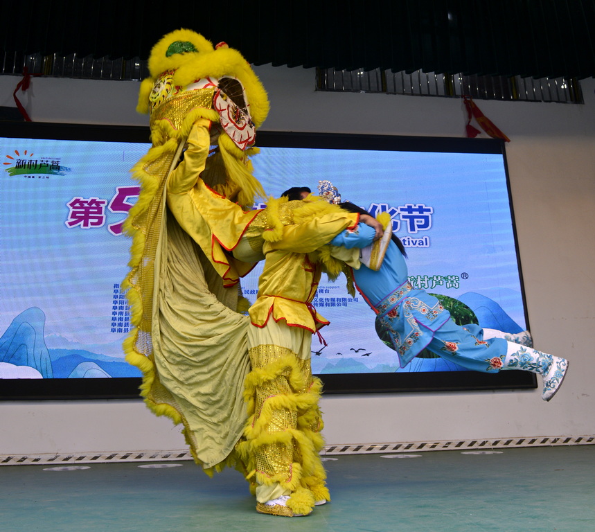 _DSC3745_2 _DSC3745_2