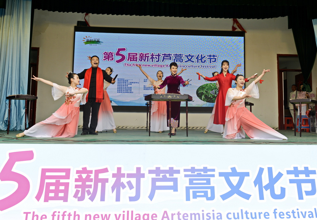 _DSC3903_2 _DSC3903_2