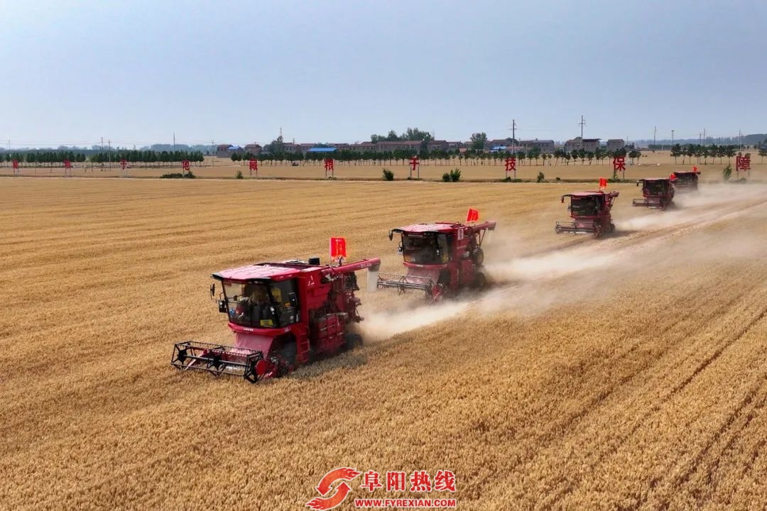 安徽小麦收获进度过半!暖心服务助力夏粮丰收