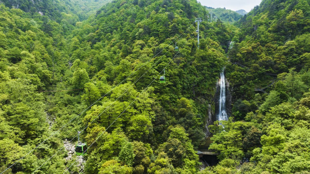 粽游天堂寨！618超大福利，栖身青山碧水度佳节