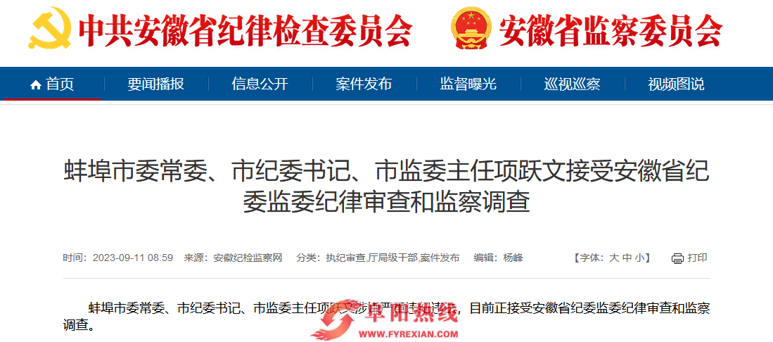 蚌埠市纪委书记项跃文被查