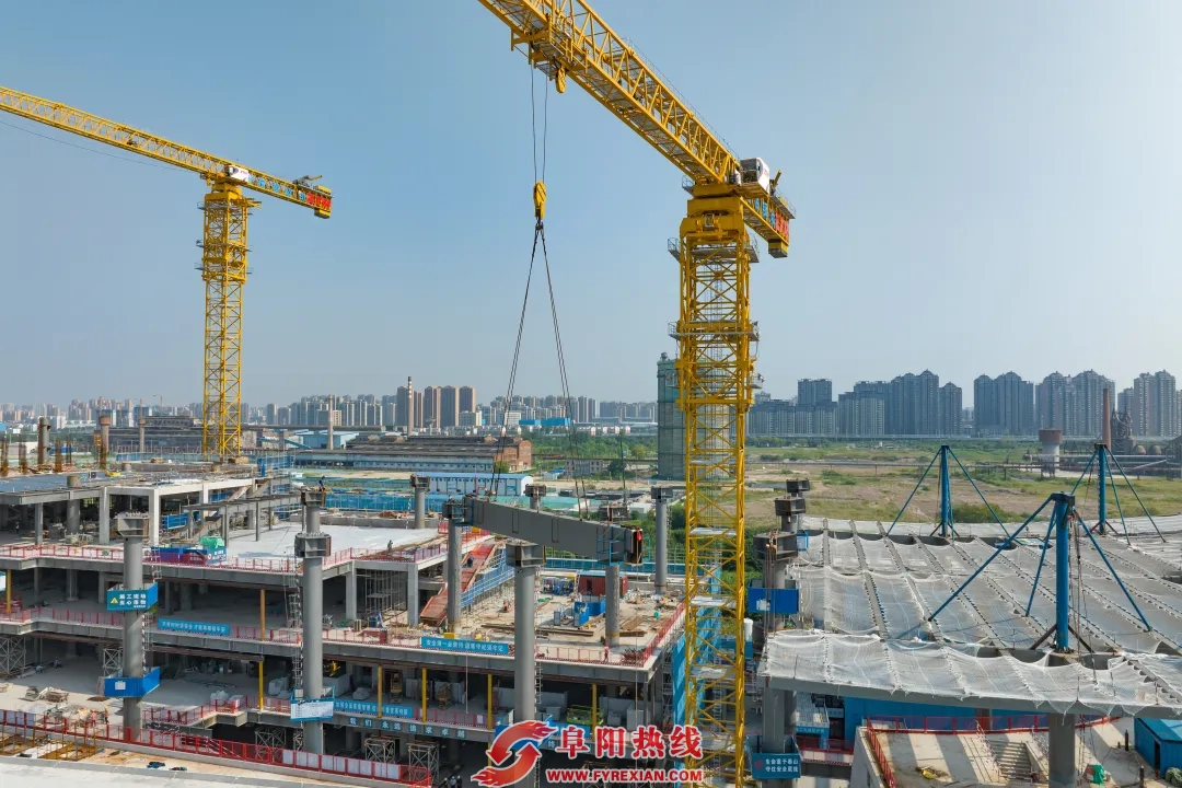 合肥市博物馆最新消息