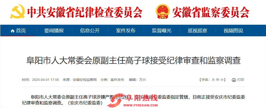阜阳市人大常委会原副主任高子球被查
