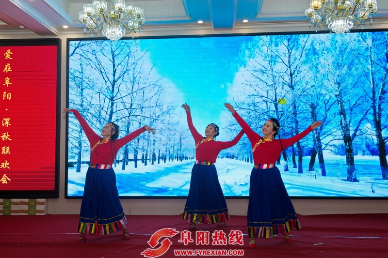 _DSC6863_调整大小