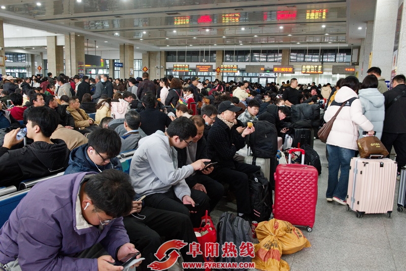 _DSC0731_调整大小