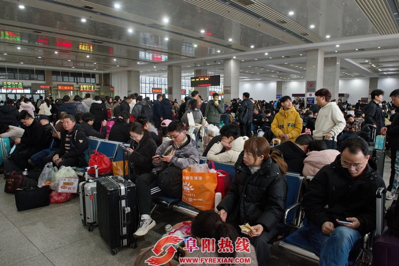 _DSC0728_调整大小