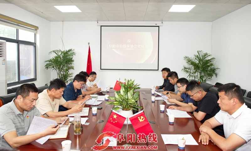 中共阜阳市自媒体协会支部委员会成立