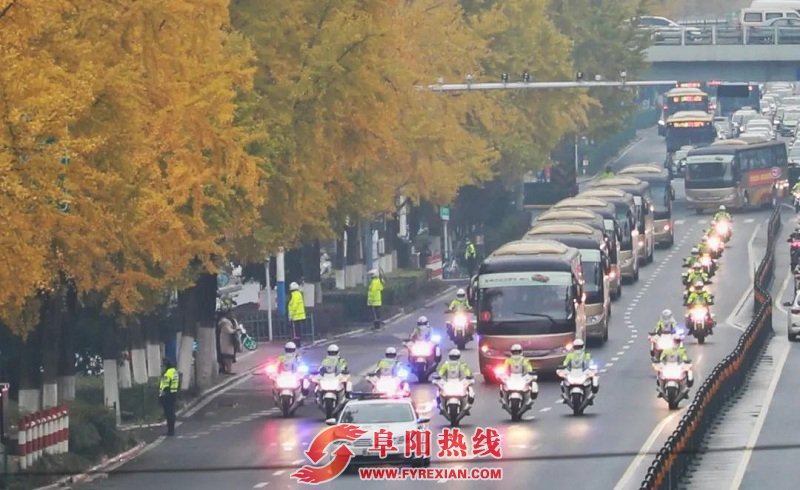 最高规格！最高礼遇！今天，这些阜阳人被全省表彰！