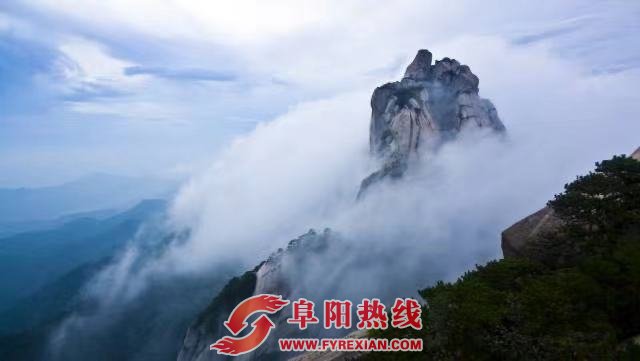 9.9元春浪第一波！阜阳人必去的仙境！@这次福利真的太太太大了…