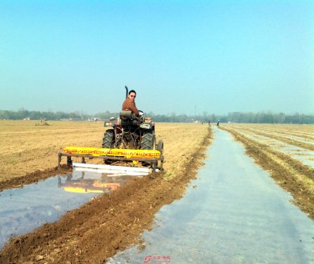 千亩牡丹托起致富梦