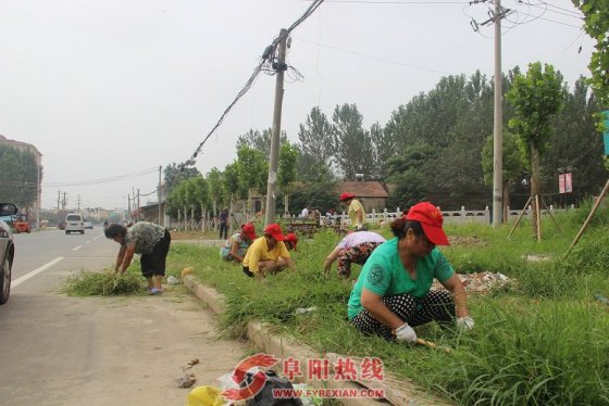 界首西城清理三边三线杂草巩固城乡环境绿化成果