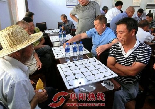 界首举办第三届方棋比赛 传统益智棋类受市民喜爱