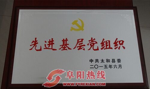 太和县市场监管局机关党委被县委授予“先进基层党组织”称号