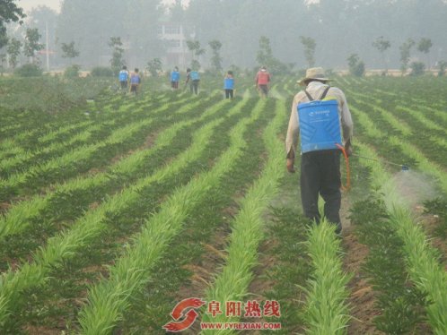 土地流转促进农民增收、土地增效