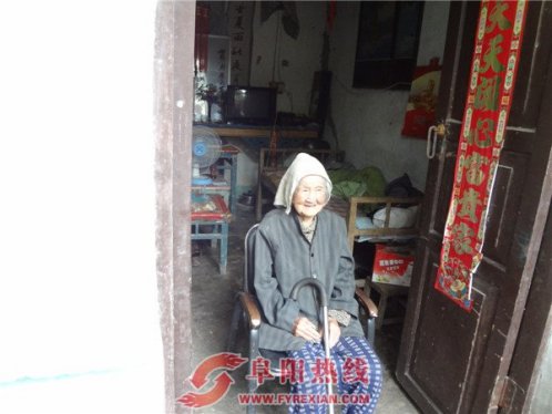 界首市摄影协会到新马集镇追寻百岁寿星风采