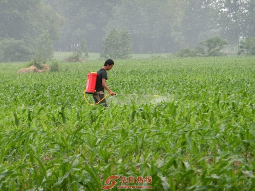舒庄镇适时指导农民科学田管