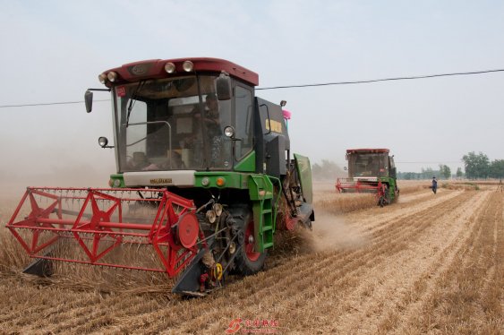 寻根种粮大户的“丰收经”