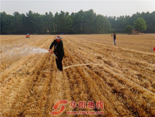 芦村镇造墒抓夏种