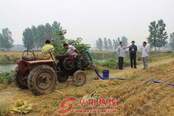 界首西城街道全员发动，多措并举，力争秋季再丰收