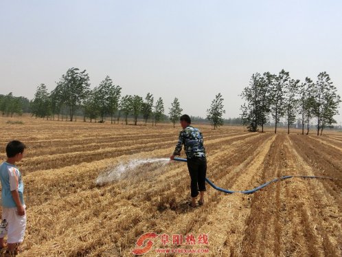 舒庄镇干群联动全力做好抗旱保苗工作