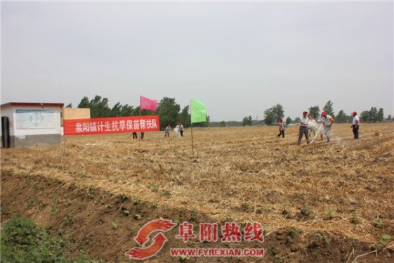 泉阳镇计生协开展“抗旱保苗”帮扶活动