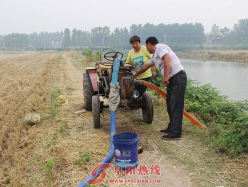 界首西城抗旱保苗成效显著