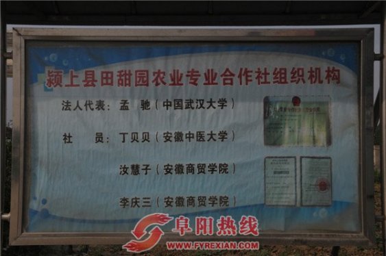 游客在颍上县五十铺乡田甜园农业专业合作社的油桃园喜摘油桃