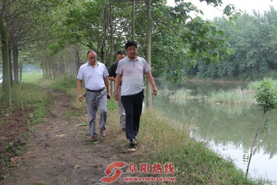 界首西城街道排查险工险段筑牢“防汛堤坝”