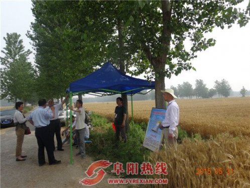 界首市住建委包联进村助力秸秆禁烧