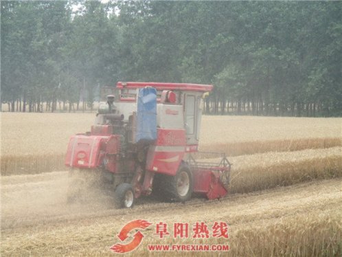 界首市新马集镇午收开镰实现收割灭茬同步