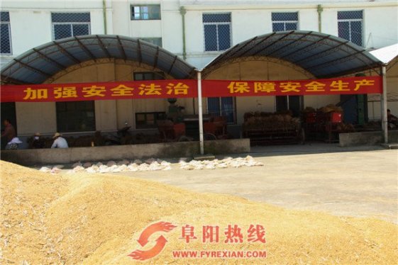 阜阳市农科院积极开展“安全生产月”活动