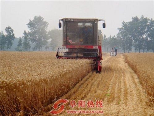 界首芦村镇百余台收割机战“三夏”