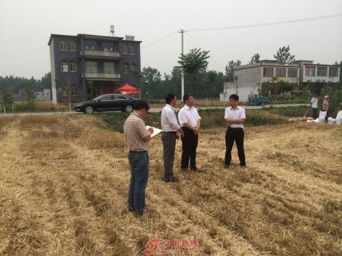 刘玉建到新马集镇检查午收和秸秆禁烧工作