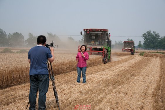 央视记者采访界首秸秆禁烧及综合利用工作