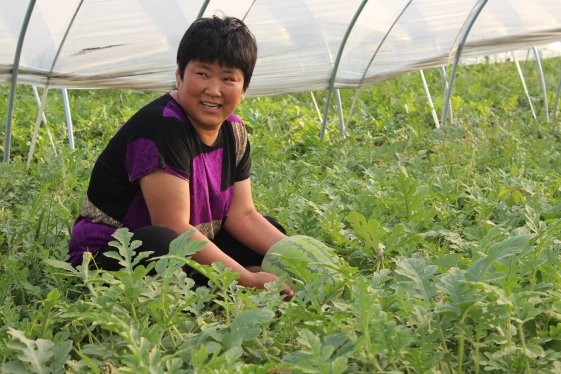 阜南县会龙镇帮助计生户提着“菜篮子”奔小康