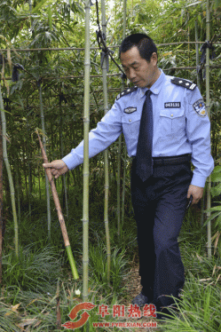 界首一男子因“贪吃”被拘留