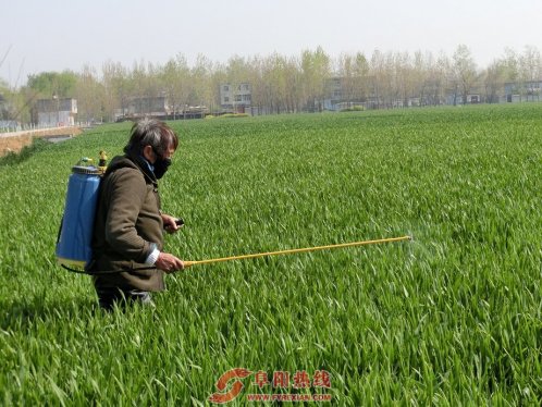 界首市舒庄镇掀起小麦“一喷三防”新高潮