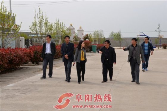 界首市开展基层公共文化服务体系调研