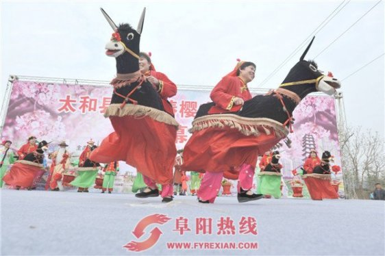 首届太和春樱文化旅游周在椿樱度假村正式启动(图)