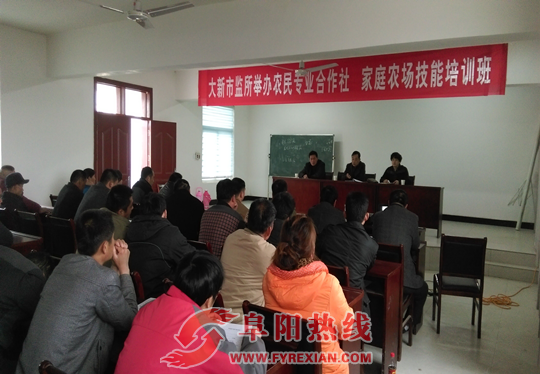 太和大新市场监管所举办农民专业合作社技能培训班