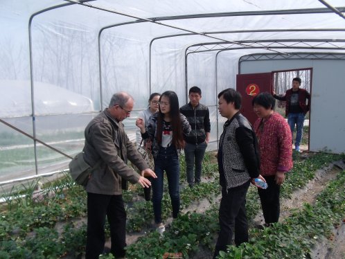 法国农业专家来阜阳开展草莓技术指导及学术讲座