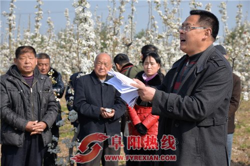 图说界首第十八届梨花诗会