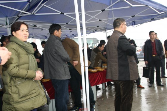 乐于奉献的“巾帼建功” 标兵  记界首市住建委总工程师纪敏