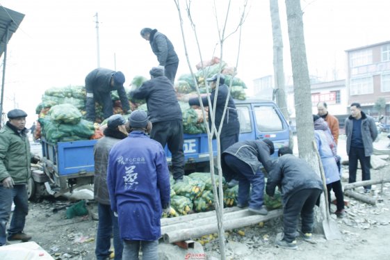 界首市城建志愿者整环境做好事