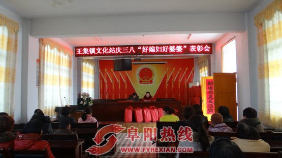 界首王集镇文化站开展庆三八“好媳妇好婆婆”评选表彰活动