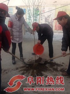 西城街道信义社区计生协会开展“3.12”植树节活动