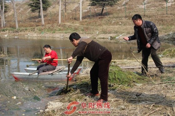 界首西城打捞沟塘漂浮物维护水面清洁
